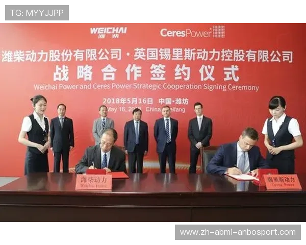 英超球队股东:英超球队的股东结构与商业投资 英超球队股东:英超球队的股东结构与商业投资